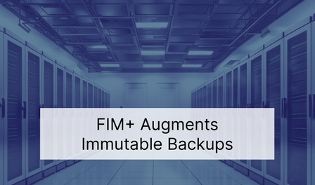 Augmenting Immutable Backups